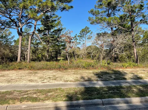131 Laughing Gull Ln, Carrabelle, FL 32322