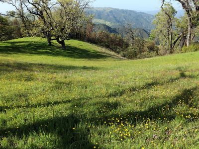 11 Long Ridge Trl, Carmel, CA, 93923
