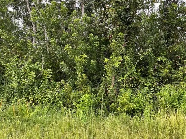 8046 Ancha St, Sebring, FL 33872