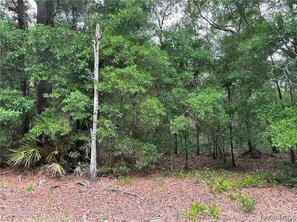 9150 NW 131st Pl, Chiefland, FL 32626