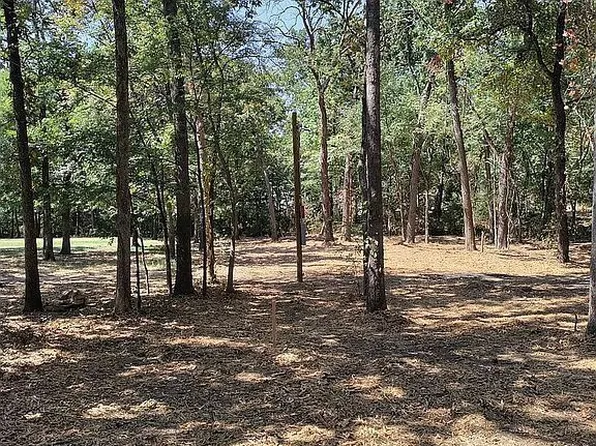 177 County Road 1687, Alba, TX 75410