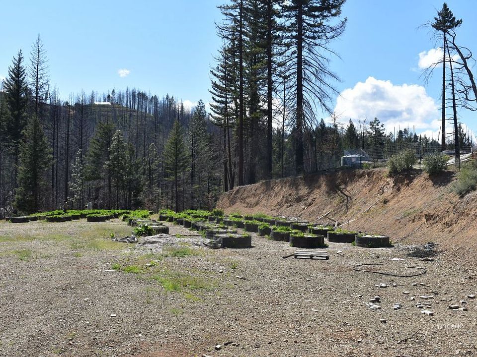 430 Trinity Pines Dr, Hayfork, CA 96041 Zillow