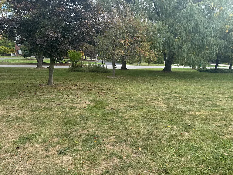 8177 Clarence Center Rd — Photo 24