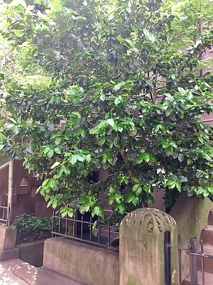 Rented by Kathy Galvin, LREB | media 34