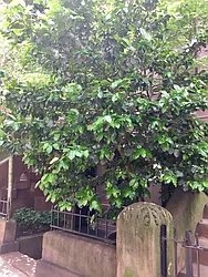 Rented by Kathy Galvin, LREB