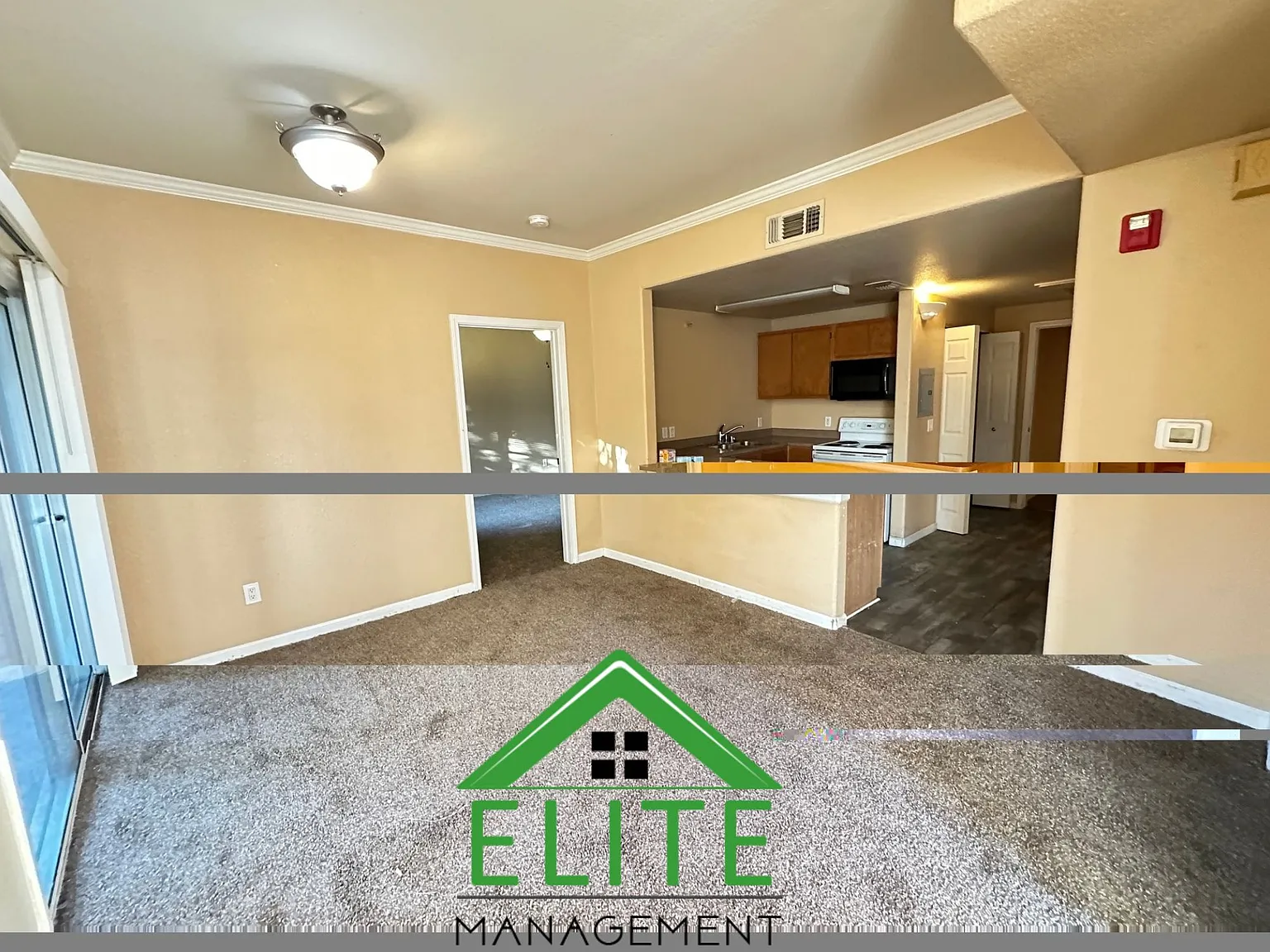 2 bed, 800 sqft, $1,950 — Photo 2
