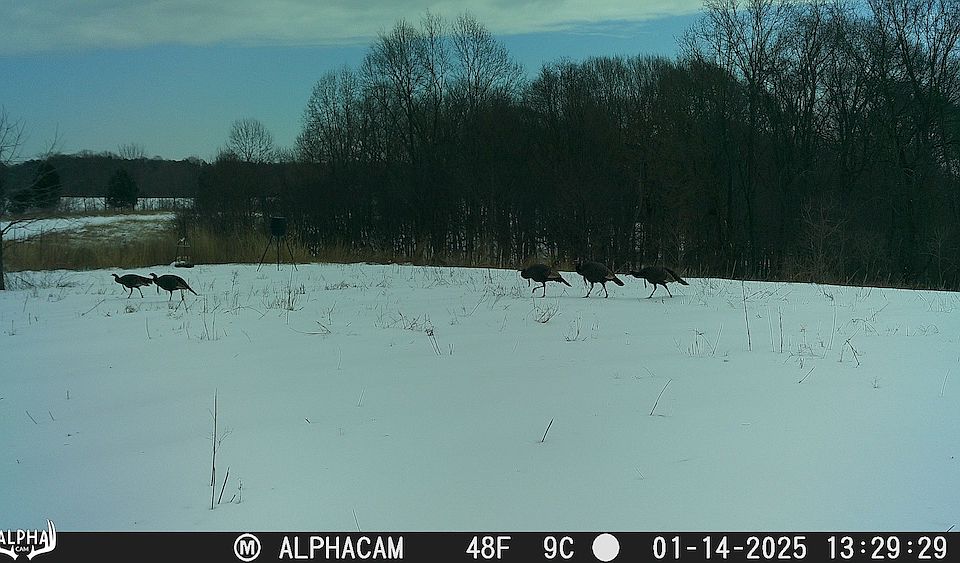 1st image of 6522 W County Pike Rd #875
