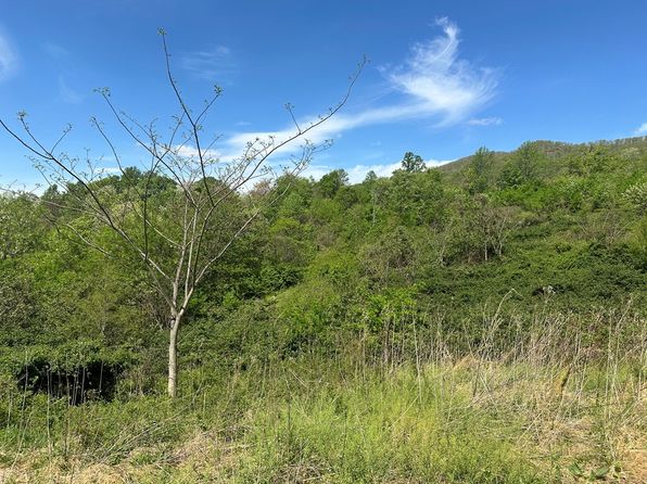 Gidsville Rd, Amherst, VA 24521