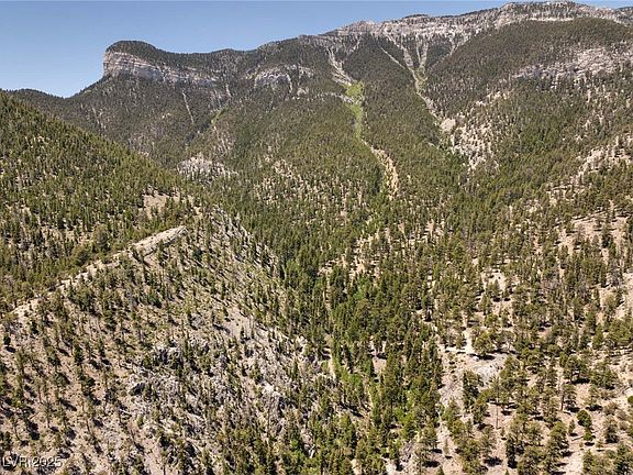 3rd image of 4085 Cougar Ridge Trl