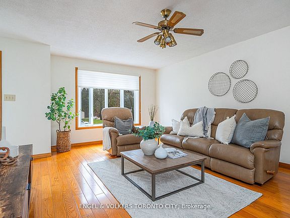 3rd image of 381 Zoo Park Rd