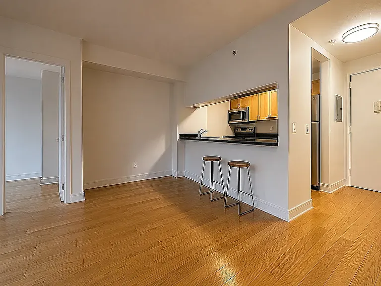 323 W 96th St #1205 — Photo 4