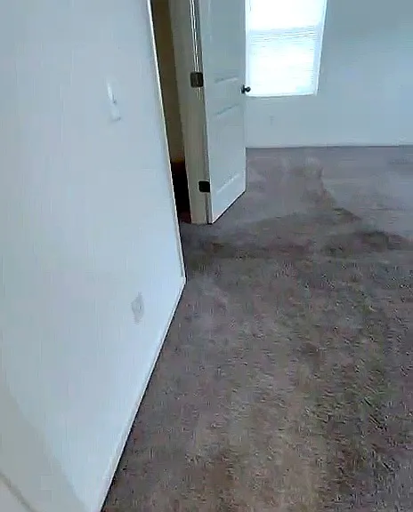 3540 Connor Ct — Photo 9