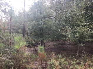 7722 Avocet Dr, Wesley Chapel, FL 33544