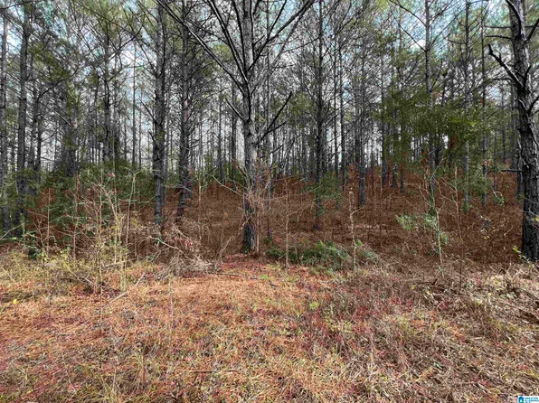 15239 Ridgeland Dr, Brookwood, AL 35444