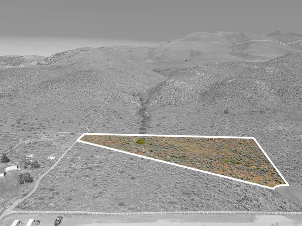 0 Ellireese Ct, Washoe Valley, NV 89704