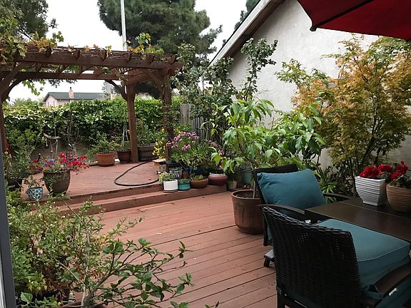 back yard