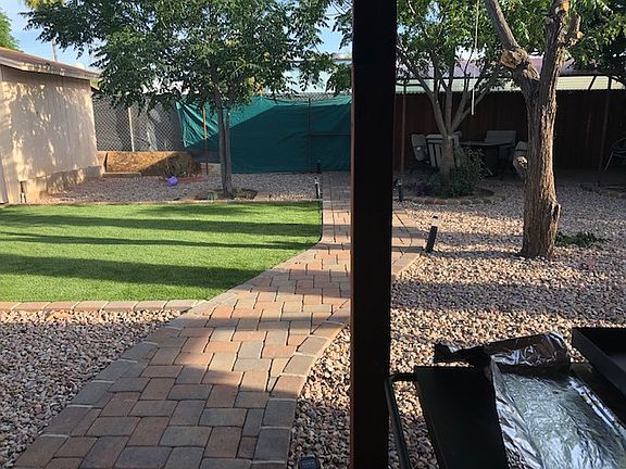 back yard 2