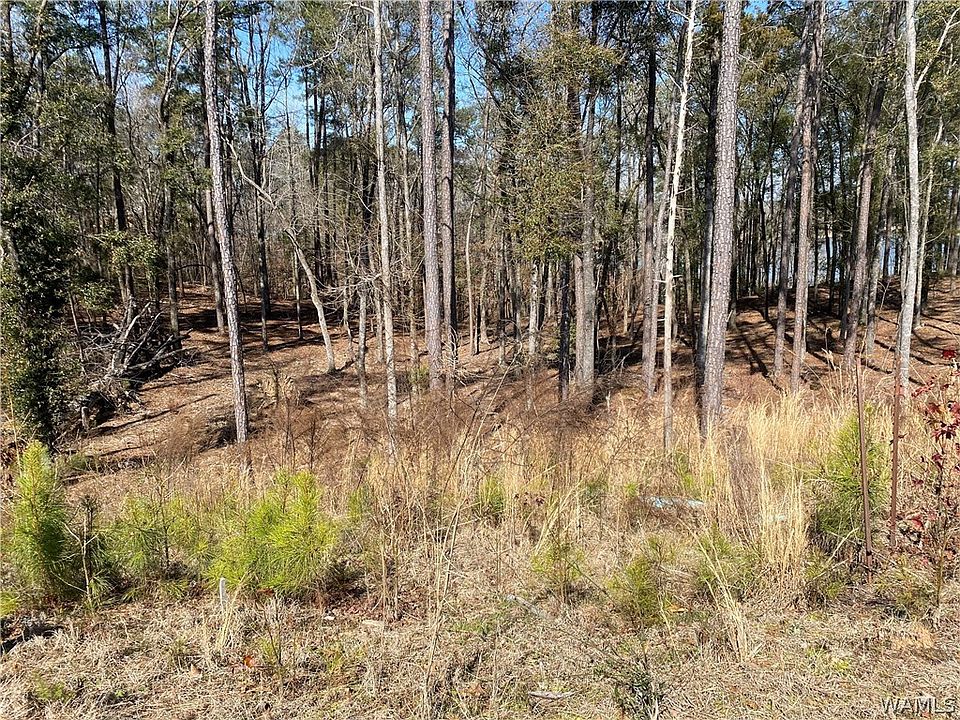 1st image of LOT 51 Highpoint Cv