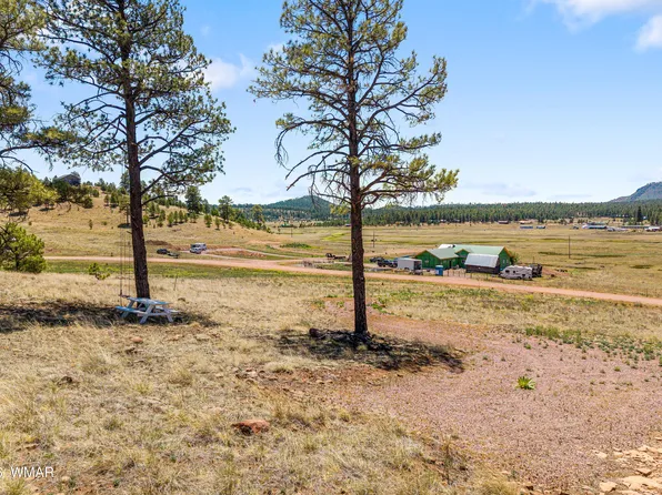 32 The Rnch #At, Alpine, AZ 85920
