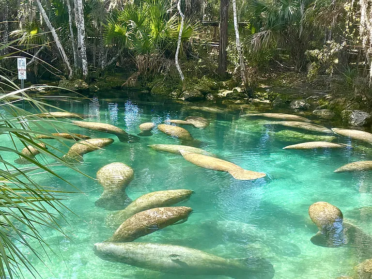 N Afterglow Cir — Photo 23