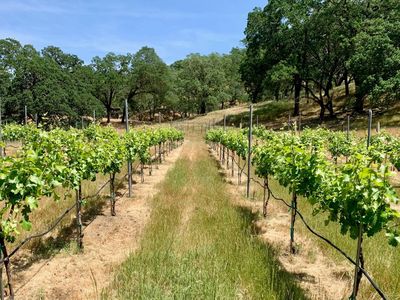 0 Hayes Ln, San Martin, CA, 95046