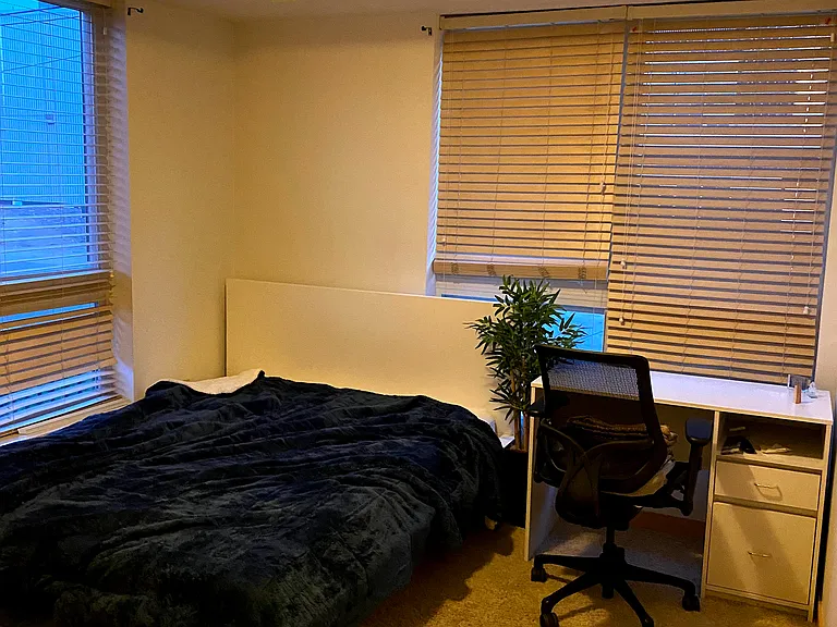 Bedroom #2 with two windows