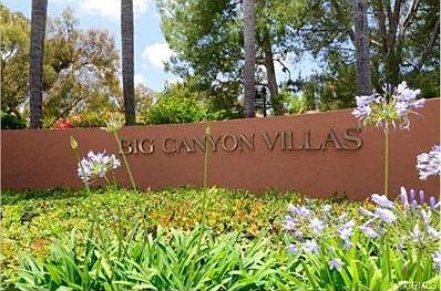 Sought After Big Canyon Villas