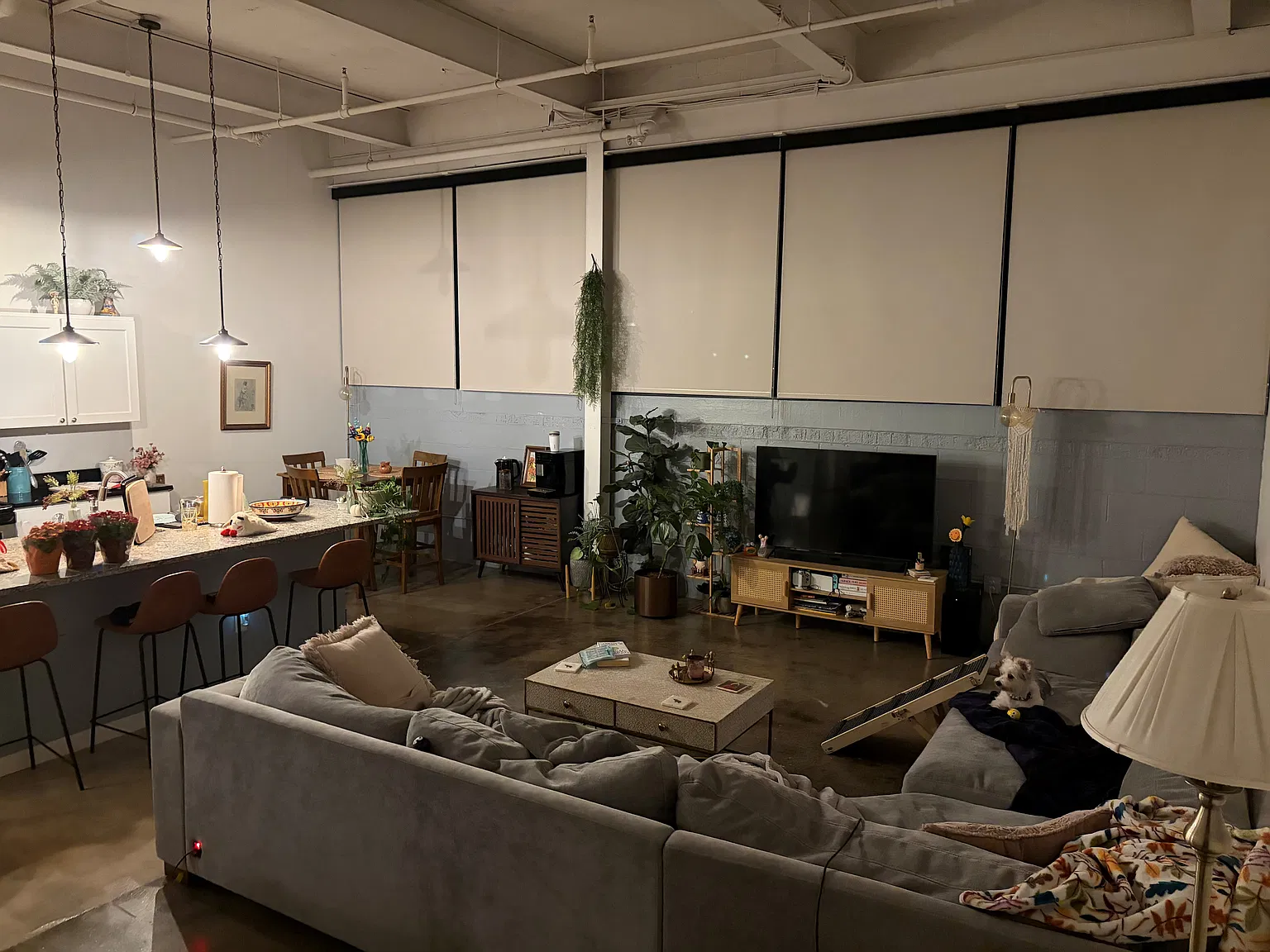 1 bed, 1094 sqft, $2,100 — Photo 4