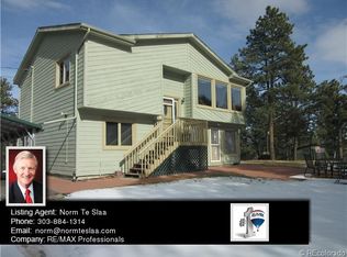 391 Lo Meadow Ln, Bailey, CO 80421