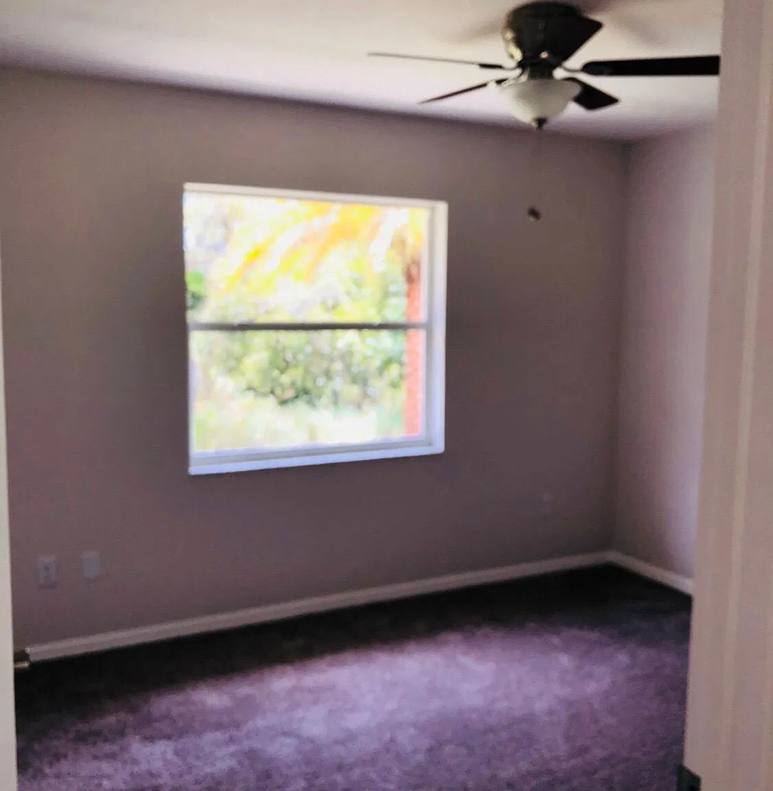 39 Miami Dr — Photo 3