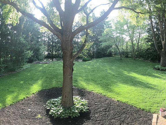 Beautiful yard