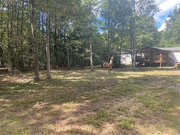 4th image of 12025 Hansen Rd