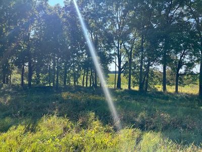 18.31 Acres County M Road, Pickett, WI, 54964