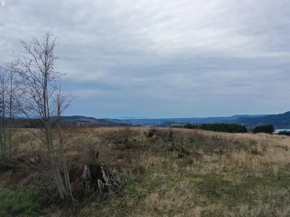 4 Hagen Rd, Mossyrock, WA 98564