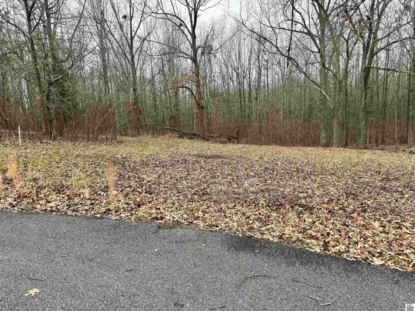 10 Ohio Ct, Gilbertsville, KY 42044