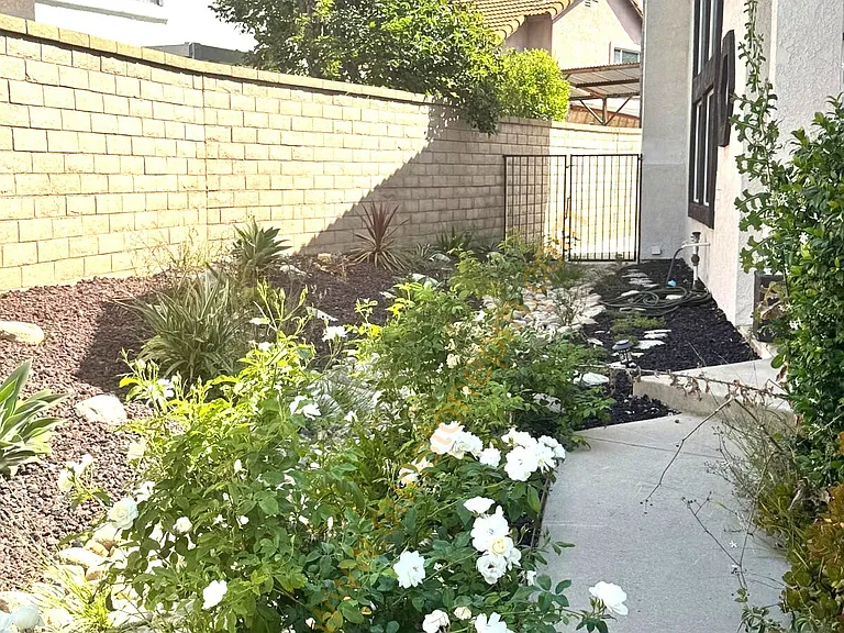 2180 Hedgerow Ln — Photo 26