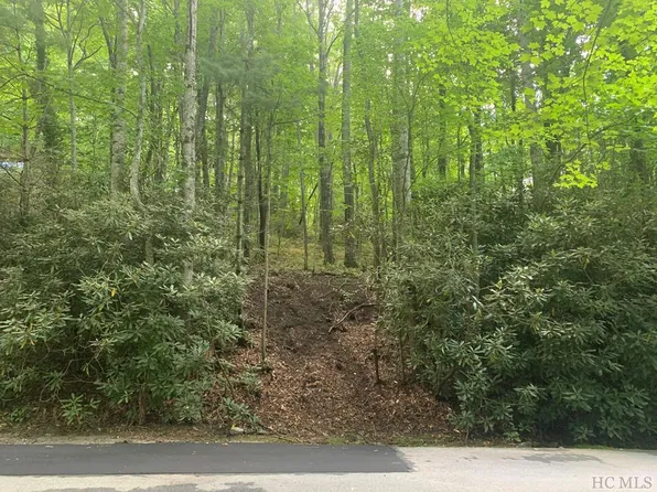 65 Black Oak Drive, Sapphire, NC 28774