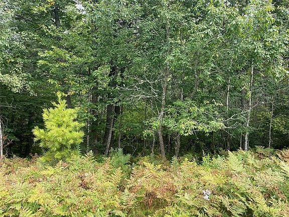 3rd image of Lot 8 Hermosa Lane