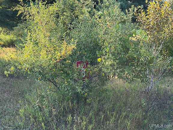 3rd image of LOT 8 Ski View Dr