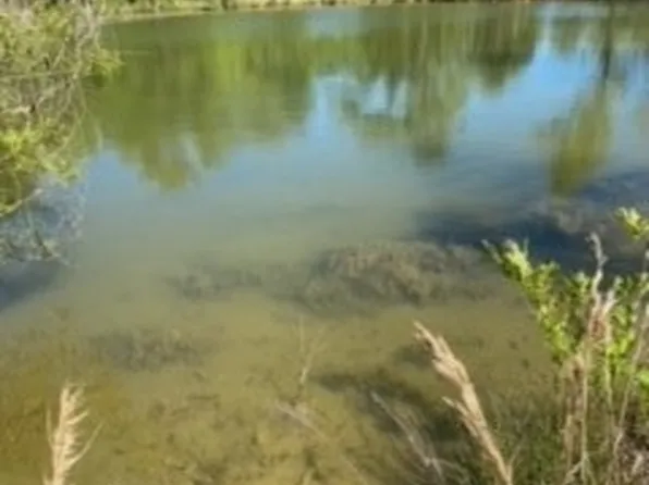 0 Grant Spur, Montgomery, AL 36105