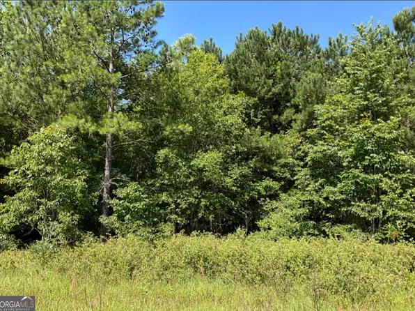 0 High Crest Ln, Hawkinsville, GA 31036