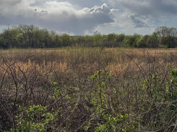 (undisclosed Address), Piggott, AR 72454