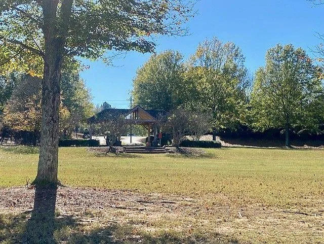 322 Oak Leaf Pl — Photo 35