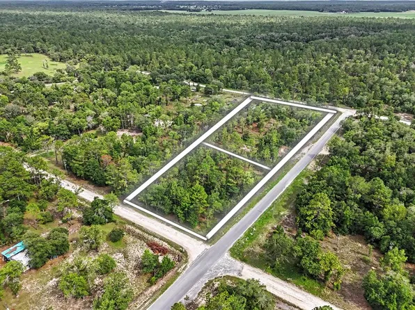 SE 218th Ave Lot 6, Morriston, FL 32668