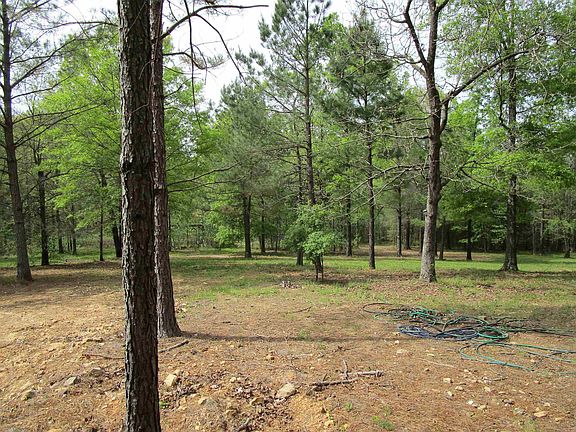 5th image of 1800 Shady Grove Rd