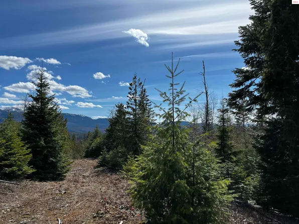 Nna Cohage Rd, Sandpoint, ID 83864