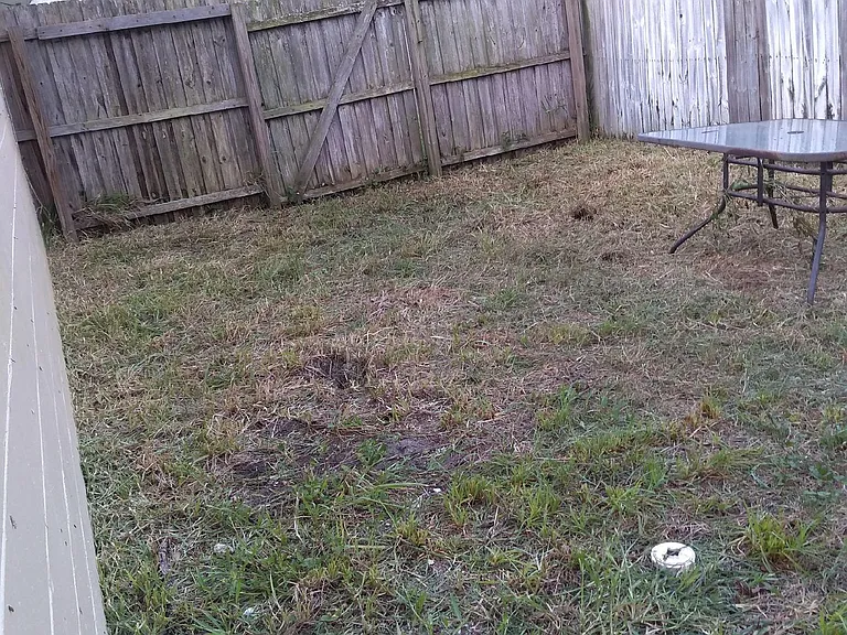 Large private backyard