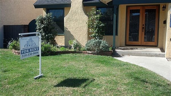 Front yard