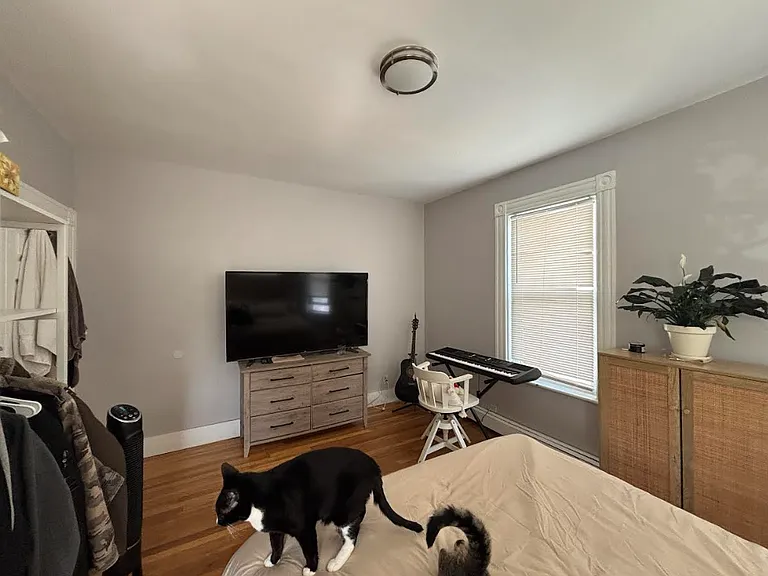11 Houghton St #1 — Photo 15