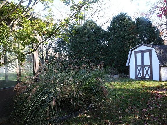 Utility shed in back yard